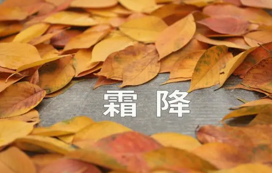 2023年霜降下雨好还是晴天好3