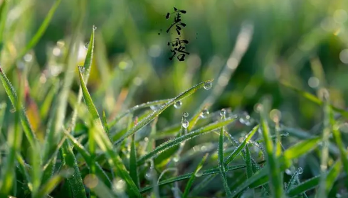 2023年寒露节气过后还热吗1