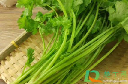 香菜可以连根一起吃吗4