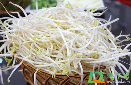 豆芽菜烂芽是什么原因