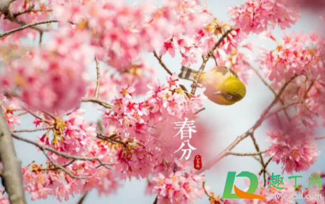 2021年春分是几九4