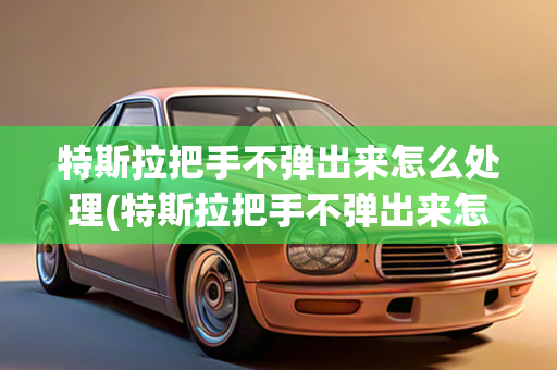 特斯拉把手不弹出来怎么处理(特斯拉把手不弹出来怎么处理好)