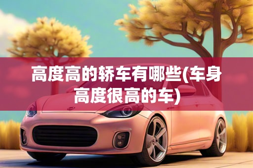 高度高的轿车有哪些(车身高度很高的车)