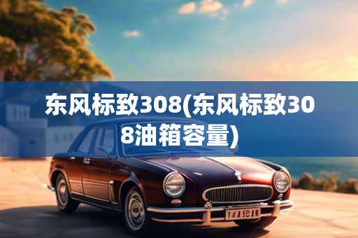 东风标致308(东风标致308油箱容量)