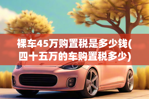 裸车45万购置税是多少钱(四十五万的车购置税多少)