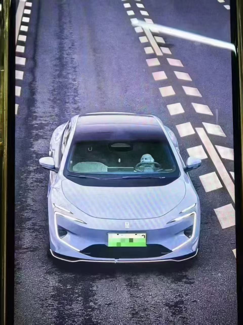 神马情况！狗狗高速开车？车主被罚50元扣6分，真相大揭秘