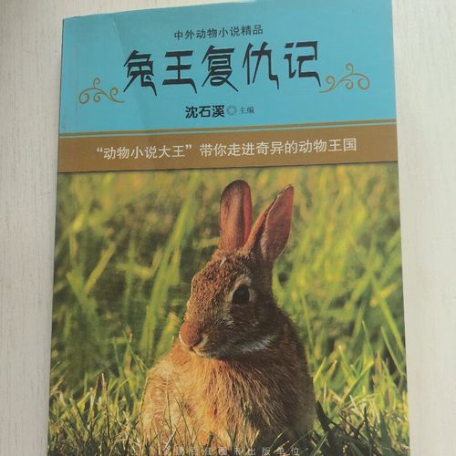 兔子复仇记，兔子的复仇大战，兔子复仇记，兔子的复仇大战