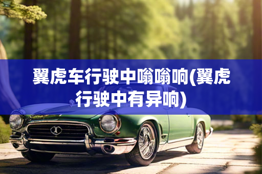 翼虎车行驶中嗡嗡响(翼虎行驶中有异响)