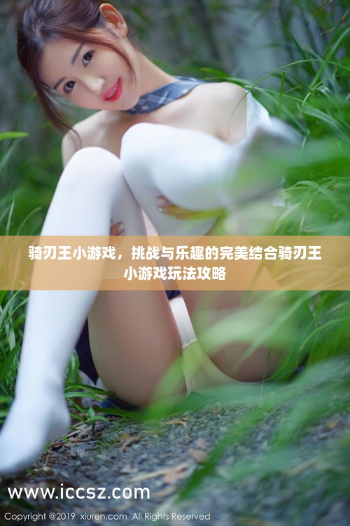 骑刃王小游戏，挑战与乐趣的完美结合骑刃王小游戏玩法攻略