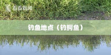 城中的鳄鱼，神秘与危险的交织城中的鳄鱼 在哪钓