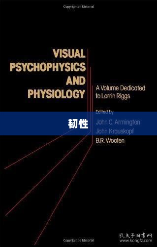 韧性有什么用，探索心理与物理层面的双重价值我的世界盔甲韧性有什么用