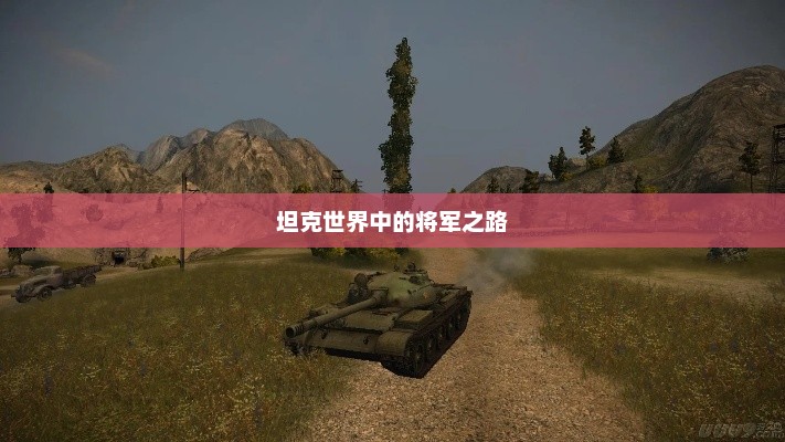 坦克世界中的将军之路