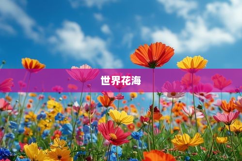 世界花海，绚烂多彩的自然奇景世界花海在什么地方
