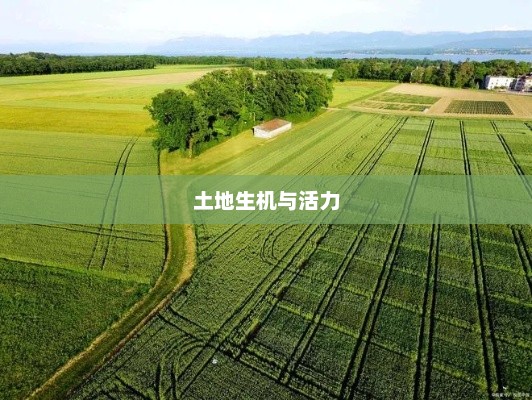 乐土，一片充满生机与活力的土地乐土是什么意思