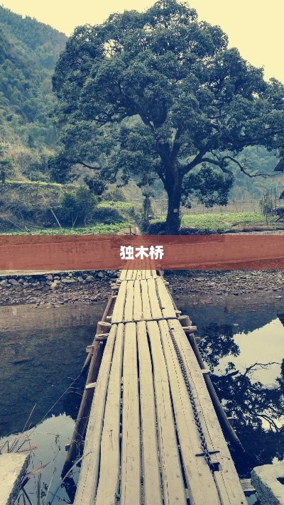 独木桥，历史的印记与文化的象征独木桥图片