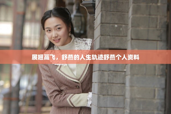 展翅高飞，舒燕的人生轨迹舒燕个人资料