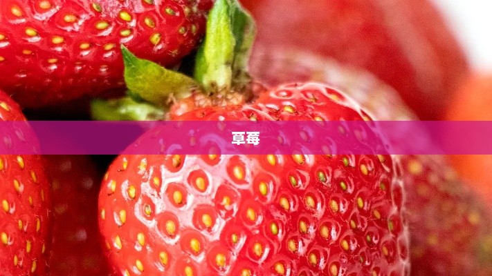 草莓，自然的红宝石strawberry的中文