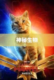 杀不死的大猫，神秘生物与奇幻传说杀不死的大猫是什么猫