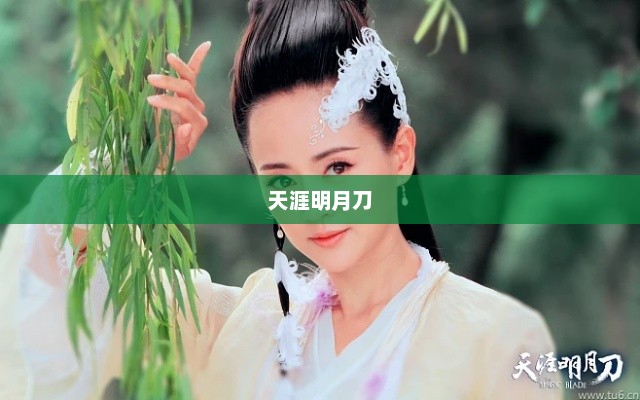 天涯明月刀与明月心，武侠世界中的诗意与情感天涯明月刀明月心扮演者