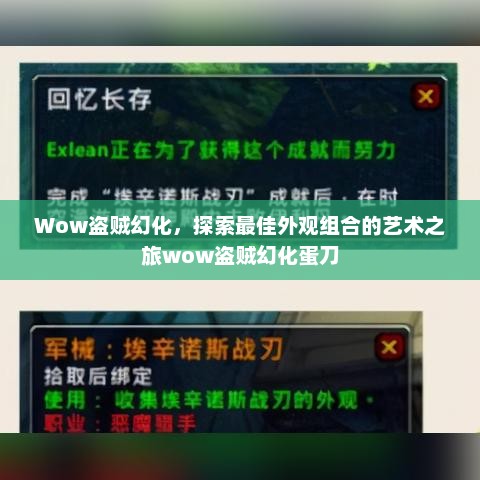 Wow盗贼幻化，探索最佳外观组合的艺术之旅wow盗贼幻化蛋刀