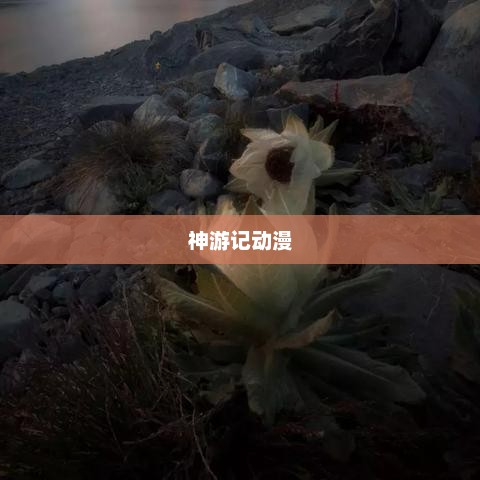 神游记，奇幻之旅的探寻与领悟神游记动漫