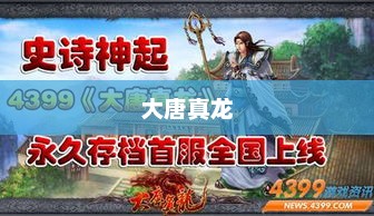 大唐真龙，历史长河中的璀璨明珠大唐真龙2