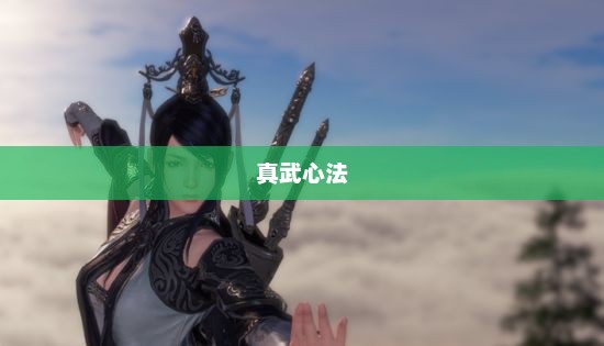 天涯明月刀中的真武心法，探索与解析天涯明月刀真武心法搭配2023