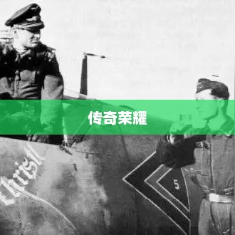 王牌坦克手的荣耀与传奇