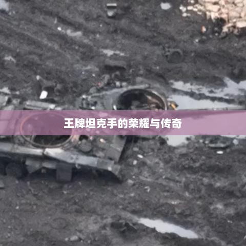 王牌坦克手的荣耀与传奇