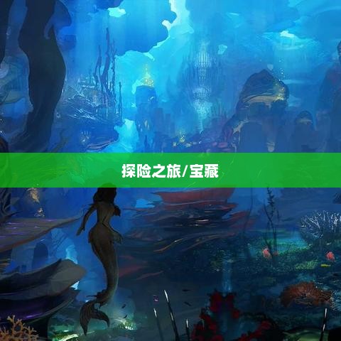 天天寻宝，一场充满奇遇与惊喜的探险之旅天天寻宝藏