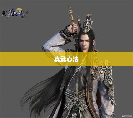 天涯明月刀中的真武心法，武侠世界的奥秘与魅力天涯明月刀真武心法搭配2023