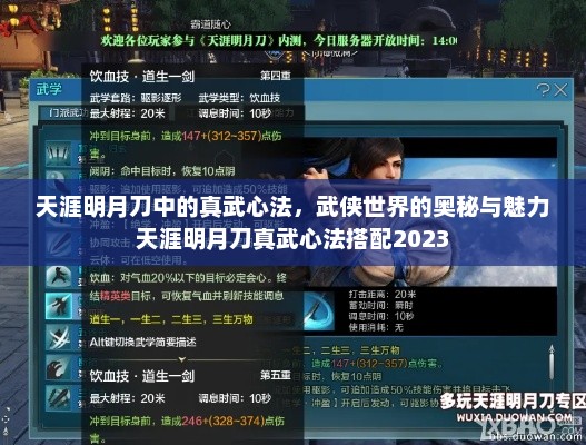 天涯明月刀中的真武心法，武侠世界的奥秘与魅力天涯明月刀真武心法搭配2023