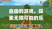 自由的游戏，探索无限可能的乐趣自由的游戏名