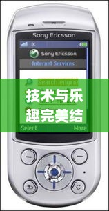 索爱手机游戏，探索乐趣与技术的完美结合索爱手机游戏虫子