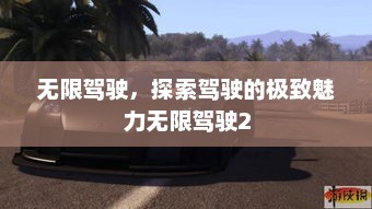 无限驾驶，探索驾驶的极致魅力无限驾驶2