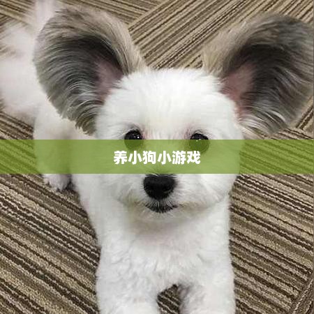 养小狗小游戏，乐趣无穷的宠物养成之旅养小狗小游戏,宠物可以杂交