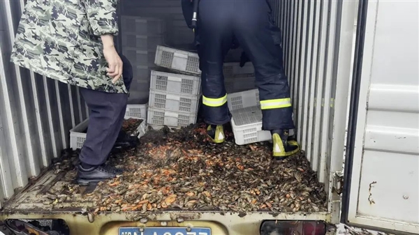 700斤小龙虾高速上被蒸熟 网友：又馋又可惜