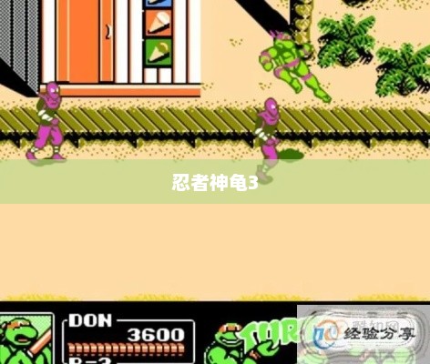 重温经典，忍者神龟3游戏下载攻略忍者神龟3 下载