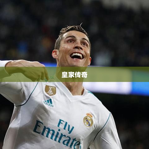 皇家传奇之王者归来皇家传奇之王者归来在线观看