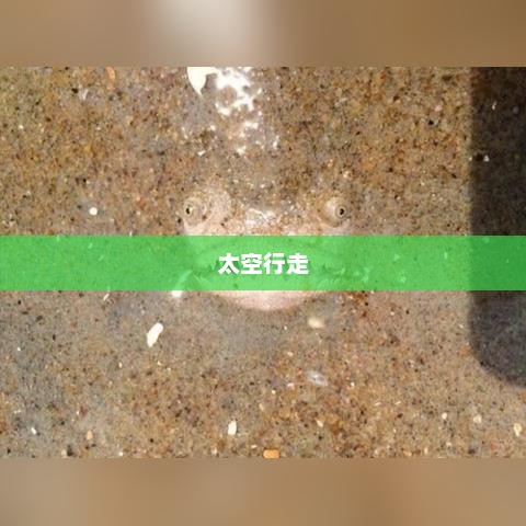 太空行走，人类探索宇宙的壮丽之旅太空行走第一人