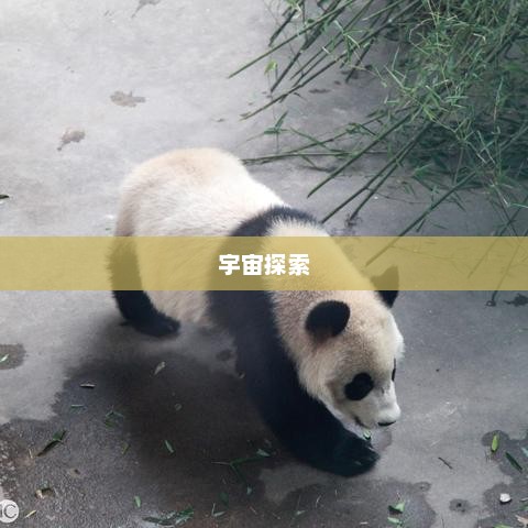 太空行走，人类探索宇宙的壮丽之旅太空行走第一人