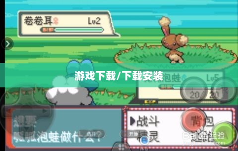 口袋妖怪魂银下载，重温经典游戏的新体验口袋妖怪魂银下载安装