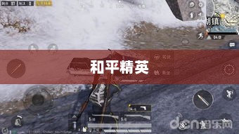 和平精英，探索竞技之路的和谐与和平和和平精英下载
