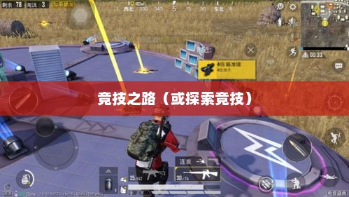 和平精英，探索竞技之路的和谐与和平和和平精英下载
