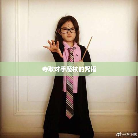 揭秘，能夺取对手魔杖的咒语能夺取对手魔杖的咒语是什么