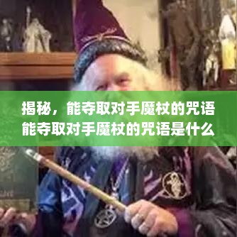 揭秘，能夺取对手魔杖的咒语能夺取对手魔杖的咒语是什么