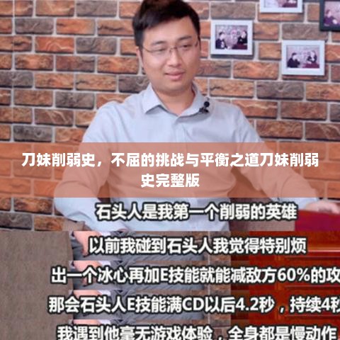 刀妹削弱史，不屈的挑战与平衡之道刀妹削弱史完整版