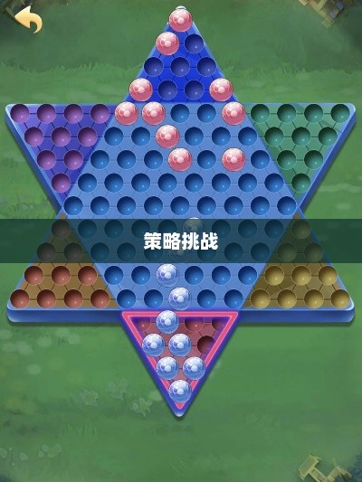 跳棋单机版，智慧与策略的挑战跳棋单机版免费下载
