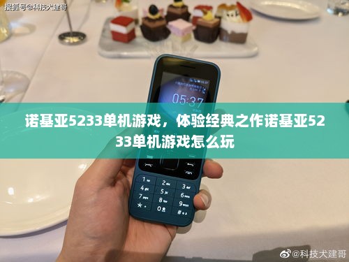 诺基亚5233单机游戏，体验经典之作诺基亚5233单机游戏怎么玩