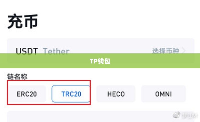 TP钱包首次购买数字货币操作指南tp钱包怎么买新币